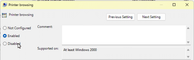 Sửa lỗi Printer Error 0x00000bc4 hoặc 0x00000709 trên Windows 11 22H2 Printer Browsing 1