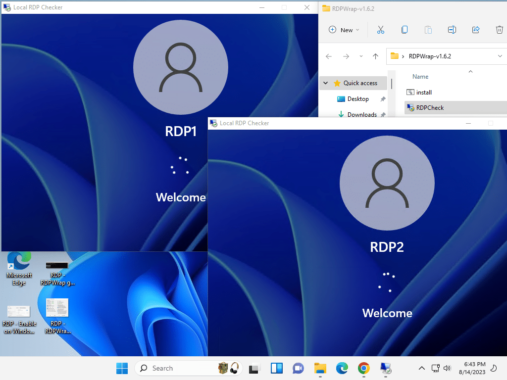 RDP RDP Check